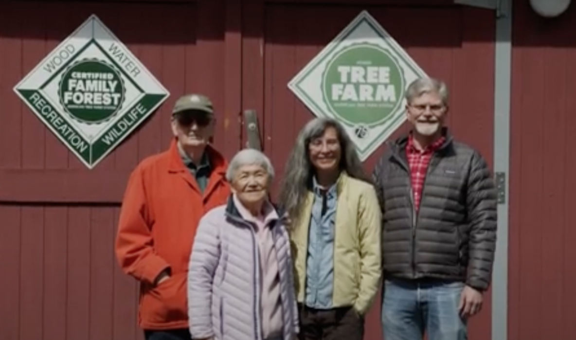 An Inspirational Story Of Forest Restoration – Washington Forest ...