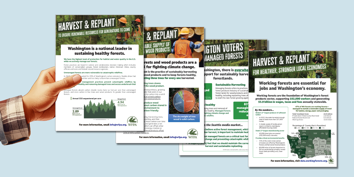 An image of issue paper handouts with information about the benefits of managed forests